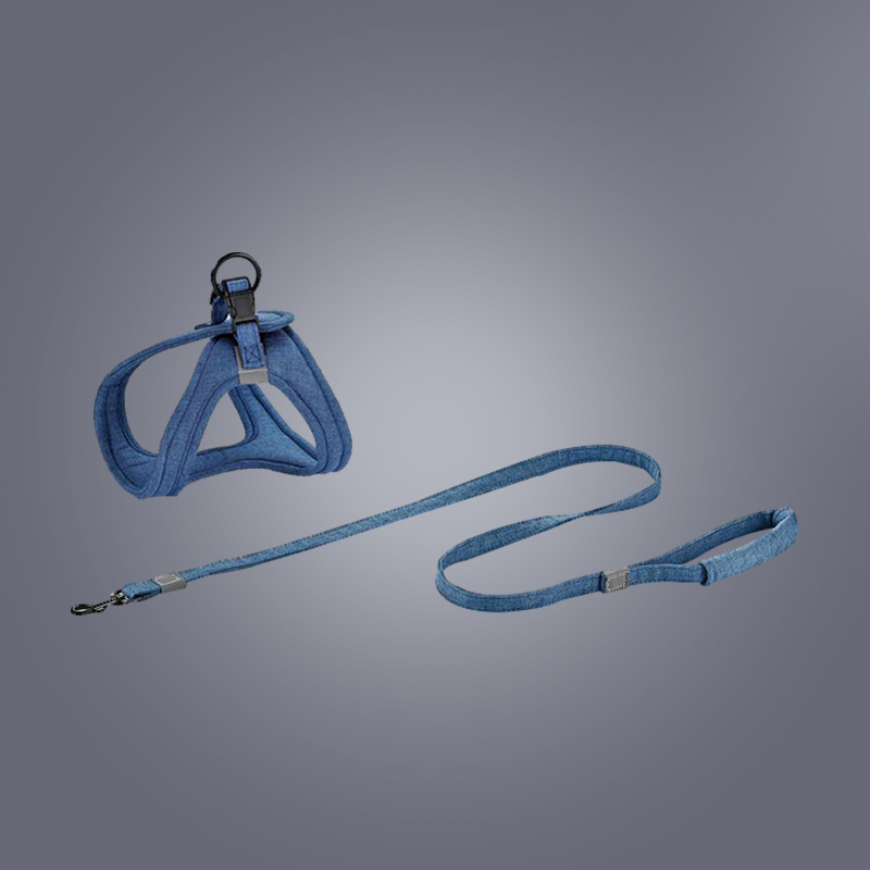 The Pinnacle Of Comfort And Control: Ergonomic Dog Leashes In The World Of Pet Products