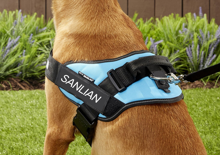 OEM Dog Harness